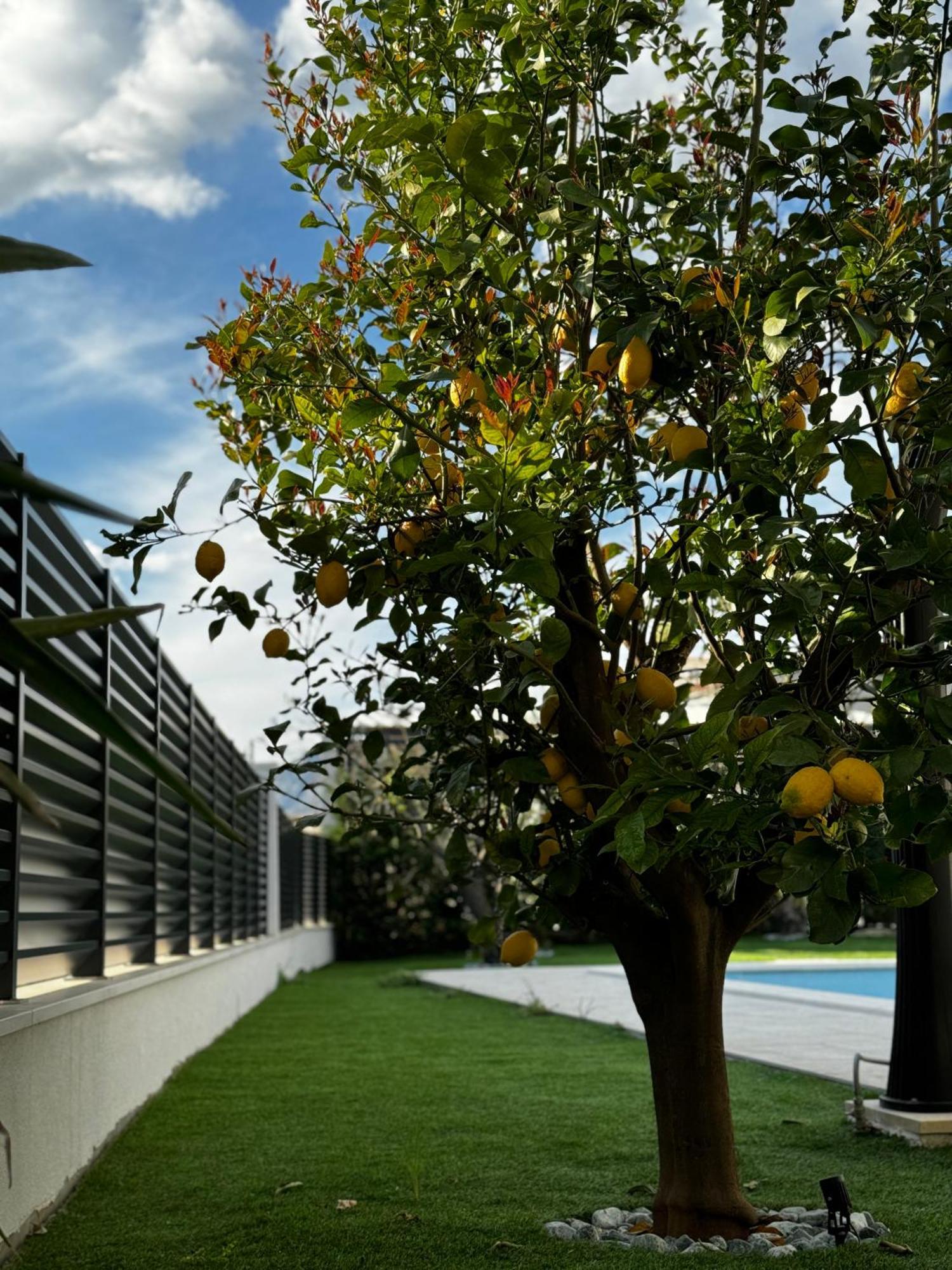 Villa Margita Split Buitenkant foto